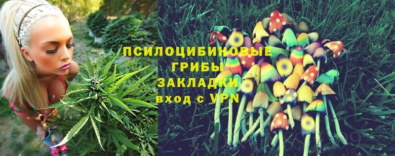 Псилоцибиновые грибы Magic Shrooms  как найти наркотики  Бирск 